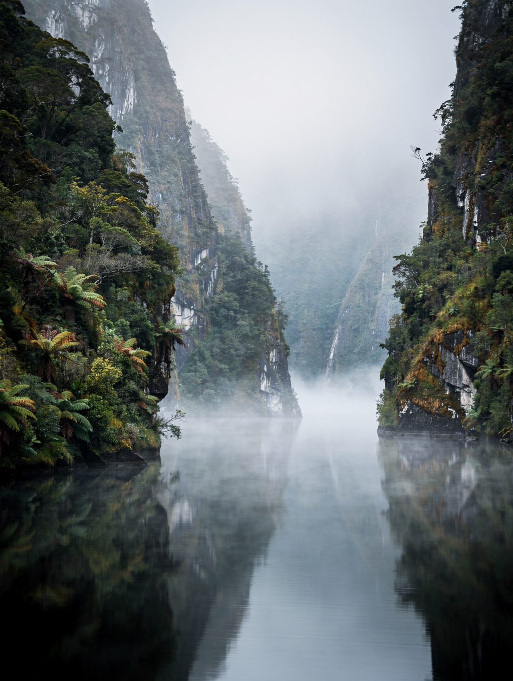 Milford Mist Canopy